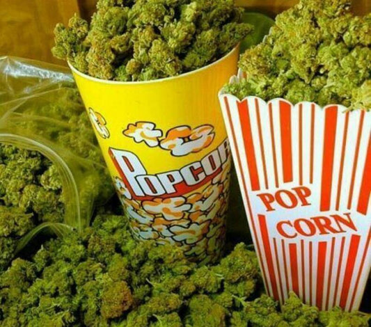 CANNABIS EN EL CINE