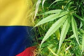 Colombia y su regulación de Cannabis.