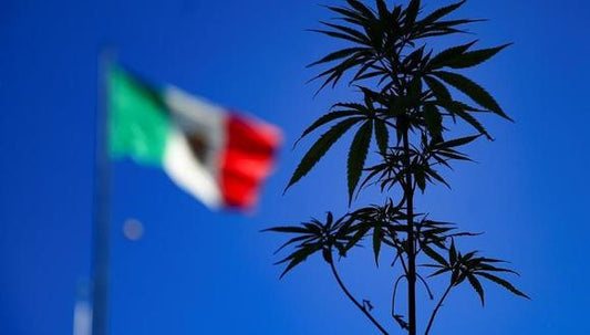 Consumo Legal, ya es posible en México