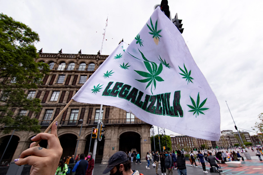 EL USO LÚDICO DE LA MARIHUANA, YA NO ESTÁ PROHIBIDO ¿SABES POR QUÉ?