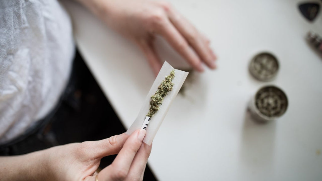 Cannabis como tratamiento para la salud mental en México