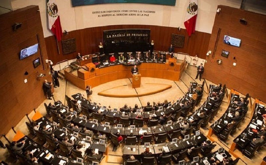 El dictamen "contiene puras fallas"